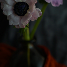 Il mio progetto del corso: Fotografia still life: natura morta in chiaroscuro. Product Photograph, Fine-Art Photograph, and Food Photograph project by Pierluca Vivaldini - 04.18.2024