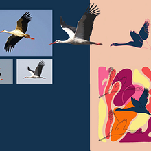 El sueño de la Cigüeña. Un progetto di Illustrazione tradizionale, Design di accessori, Costume design, Pattern design, Fashion design, Stampa e Stampa tessile di Marta Fernández - 18.04.2024