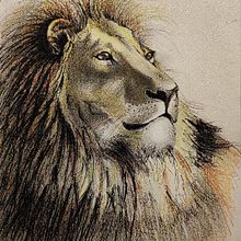 Il mio progetto del corso: Tecniche sperimentali di acquerello per principianti. Traditional illustration, Fine Arts, Watercolor Painting, and Naturalistic Illustration project by Claudia Foroni - 04.25.2024