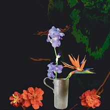 Collage digitale Iris . Advertising, Photograph, and Graphic Design project by Rachele Russo - 04.26.2024