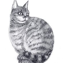 Mein Abschlussprojekt für den Kurs: Ausdrucksstarkes Zeichnen mit Holzkohle. Un progetto di Belle arti, Disegno, Disegno di ritratti e Illustrazione naturalistica di Katja Bader - 28.04.2024