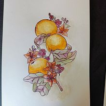 Mi proyecto del curso: Técnicas artísticas para ilustración naturalista. Un proyecto de Ilustración tradicional, Pintura acrílica, Ilustración botánica, Ilustración con tinta, Dibujo con lápices de colores y Pintura a la acuarela de Flor Ampudia - 23.04.2024