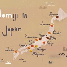 Momiji in Japan. Un proyecto de Infografía, Dirección de arte, Dibujo digital, Ilustración digital, Ilustración editorial, Lettering digital y Lettering de Cris Tamay - 01.01.2024