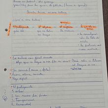 Mi proyecto del curso: Iniciación al guion:  Julia "butterfly" Hill - La defensora de árboles. Film, Video, TV, Stor, telling, Script, Narrative, Non-Fiction Writing, and Creative Writing project by Ivan Flores - 04.29.2024