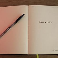 Mi proyecto del curso: Gimnasio de escritura: de la hoja en blanco a la práctica cotidiana. Un proyecto de Escritura, Creatividad, Stor, telling, Narrativa y Escritura creativa de Alessandra Anahí Querevalú Zárate - 29.04.2024