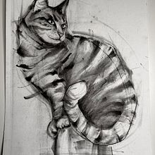 Meu projeto do curso: Desenho expressivo com carvão. Projekt z dziedziny  Sztuki piękne,  R, sunek, Portret, Ilustracja naturalist i czna użytkownika Marco Medeiros - 01.05.2024