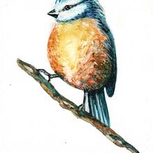 Mi proyecto del curso: Acuarela artística para ilustración de aves. Traditional illustration, Watercolor Painting, Realistic Drawing, and Naturalistic Illustration project by Sandra Milena - 05.03.2024