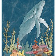 My project for course: Natural Illustration with Digital Painting . Ilustrație tradițională, Desen, Ilustrație digitală, Desen realist, Pictură digitală & Ilustrație naturalistă de Jenny Giles - 04.25.2024