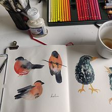 My project for course: Illustrating Nature: A Creative Exploration. Projekt z dziedziny Trad, c, jna ilustracja,  Malarstwo,  R, sunek, Malowanie akwarelą,  R, sunek atramentem, Ilustracja naturalist i czna użytkownika Urša Ohana - 05.05.2024