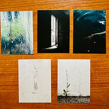 Il mio progetto del corso: Poesia Visiva: raccontare storie con foto e versi. Portrait Photograph, Digital Photograph, Fine-Art Photograph, Lifest, le Photograph, and Self-Portrait Photograph project by Andrea Ceccarelli - 05.05.2024