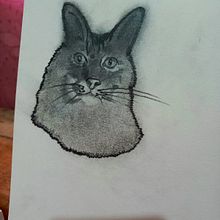 Mascotas. Realistic Drawing project by Jesús Rey Castillo Hernández - 05.05.2024