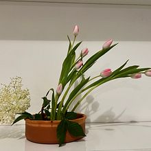 My project for course: Ikebana: flower arrangement for beginners. Projekt z dziedziny Projektowanie wnętrz,  Dekoracja wnętrz, Dekoracja wnętrz, Kompoz i cje kwiatowe i botaniczne użytkownika Pegah Khabazi - 01.05.2024