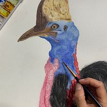 Mi proyecto del curso: Ilustración realista en acuarela de la vida salvaje. Projekt z dziedziny  Sztuki piękne,  Malarstwo, Malowanie akwarelą, Ilustracja naturalist i czna użytkownika theressa_phyen - 09.05.2024