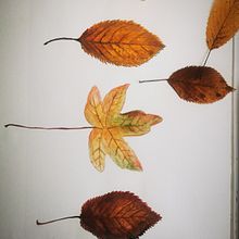 My project for course: Botanical Illustration with Watercolors. Traditional illustration, Fine Arts, Painting, Drawing, Watercolor Painting, and Botanical Illustration project by napiorka - 05.11.2024
