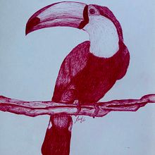 Serie animals I textures - D. Artístic . Drawing project by Laia Vila Garcia - 05.11.2024