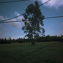 Mi proyecto del curso: Introducción a la fotografía narrativa. Projekt z dziedziny Fotografia, Stor, telling, Fotografia art, st, czna, Narracja i Fotografia wnętrz użytkownika Dylan Tobias Perales Herrera - 12.05.2024