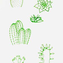 Botanique. Un proyecto de Paisajismo de Cécile Campagne - 12.05.2024