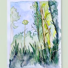 My project for course: Painting Realistic Watercolor Landscapes. Projekt z dziedziny  Sztuki piękne,  Malarstwo, Sketching, Malowanie akwarelą, Ilustracja naturalist i czna użytkownika Joerg Fritsch - 12.05.2024