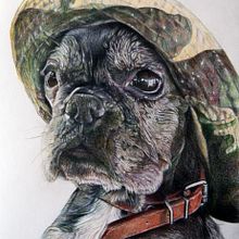 Mi proyecto del curso: Retratos de Mascotas en Lápices de Colores. Traditional illustration, and Naturalistic Illustration project by Joseba González Carpallo - 05.14.2024