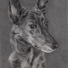 Milka. Artes plásticas, Desenho realista, Desenho de retrato, Desenho artístico e Ilustração tradicional projeto de Begoña Blázquez Parro - 15.03.2024