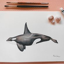 Mi proyecto del curso: Técnicas de ilustración naturalista: ballenas en acuarela. Fine Arts, Painting, Watercolor Painting, and Naturalistic Illustration project by Fabiola Ramírez Rojas - 05.14.2024