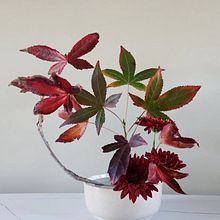 My project for course: Ikebana: flower arrangement for beginners . Design interior, Decorațiuni, Decorațiuni interioare și Design floral și de plante de Яна Сайдашева - 05.15.2024