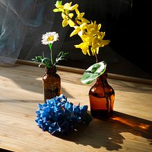 My project for course: Botanical Still Life Photography. Product Photograph, Fine-Art Photograph, Lifest, and le Photograph project by Chanisda Jukgrasrisakul - 05.15.2024
