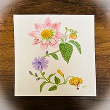 Mi proyecto del curso: Acuarela realista para composiciones botánicas. Traditional illustration, Painting, Drawing, Watercolor Painting, and Botanical Illustration project by sguinandramirez - 05.12.2024