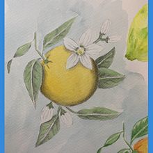 Illustration botanique à l’aquarelle projet final. Traditional illustration project by Sylvie Abel - 05.16.2024