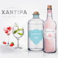 Branding y packaging XANTIPA gin. Un proyecto de Diseño, Packaging, Br e ing e Identidad de gaston - 16.05.2024