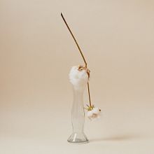 STILL LIFE. Un proyecto de Fotografía de producto y Fotografía de Paola Sanabria - 16.05.2024