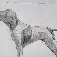 Meu projeto do curso: Sketching diário para melhorar suas técnicas de desenho. Un proyecto de Bocetado, Dibujo a lápiz, Dibujo, Dibujo de Retrato y Dibujo anatómico de plutao_19 - 11.05.2024