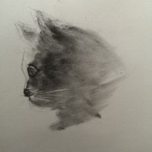 My project for course: Expressive Drawing with Charcoal. Projekt z dziedziny  Sztuki piękne,  R, sunek, Portret, Ilustracja naturalist i czna użytkownika panczersz - 17.05.2024