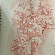 Classical Portrait Drawing: The Renaissance style. Fine Arts, Sketching, Drawing, Portrait Drawing, Realistic Drawing, and Artistic Drawing project by Deborah Quin - 05.18.2024