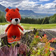 Mein Abschlussprojekt für den Kurs: Amigurumi: Häkle und designe lebendige Figuren Ein Projekt aus dem Bereich H, werk, Art To, Kreativität mit Kindern, Crochet, Amigurumi und Weben von Lucie Wäschle - 18.05.2024