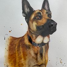 Expressive Animal Portraits:  Rick the Dog. Watercolor Painting project by Brigitte Fabi - 05.19.2024