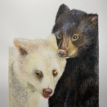 Bearly Friends. Un proyecto de Pintura a la acuarela de Brigitte Fabi - 20.05.2024
