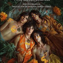 Los chicos guapos son tóxicos, de Megan Fox. Un progetto di Design editoriale di Raúl Alonso - 20.05.2024