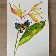 Mi proyecto del curso: Ilustración naturalista con gouache y acuarela. Fine Arts, Painting, Watercolor Painting, Botanical Illustration, Naturalistic Illustration, and Gouache Painting project by camila espitia - 05.20.2024