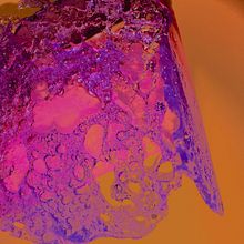 Caramelizados. Photograph, Design, Fine Arts, Editorial Design, and Graphic Design project by Diana Galstyan - 05.05.2022