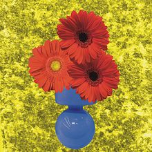 Pop flowers. Un progetto di Pubblicità, Fotografia e Graphic design di Rachele Russo - 21.05.2024