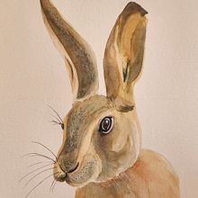 Mi proyecto del curso: Técnicas experimentales de acuarela para principiantes. Traditional illustration, Fine Arts, Watercolor Painting, and Naturalistic Illustration project by mari carmen Gómez - 05.22.2024