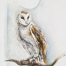 Animali ad acquerello. Un proyecto de Ilustración tradicional, Ilustración naturalista				 y Dibujo de Martina Volandri - 22.05.2024