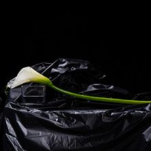 Mort de Marat. Product Photograph, Fine-Art Photograph, Food Photograph, Photograph, Fine Arts, Photograph, Post-production, Creativit, Photographic Lighting, Studio Photograph, Concept Art, Digital Photograph, and Photographic Composition project by Elvio Pierattini - 05.23.2024