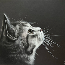 El gato.. Drawing project by Alisa Sorokina - 04.25.2022