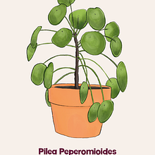 Digital prints of plants. Digital Illustration project by laurawaslander - 05.24.2024