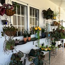 Meu projeto do curso: Design de interiores com plantas do zero. Interior Design, L, scape Architecture, Decoration, Interior Decoration, DIY, Floral, Plant Design, and Spatial Design project by Ana Rita Gonçalves - 05.24.2024