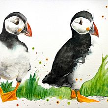 Mi proyecto del curso: Acuarela artística para ilustración de aves. Een project van Traditionele illustratie, Aquarelschilderen, Realistische tekening y Naturalistische illustratie van Maribel González Sigurjóns - 24.05.2024