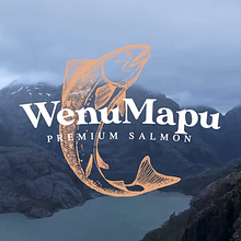 Mi proyecto del curso: Edición Wenu Mapu . Un progetto di Video editing e Postproduzione audiovisiva di Matias Pantano - 23.05.2024