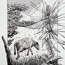 Mi proyecto del curso: Ilustración con tinta y plumilla: captura el mundo natural. Esboçado, Desenho, Desenho artístico, Sketchbook, Ilustração com tinta e Ilustração naturalista projeto de toquinho9 - 27.05.2024